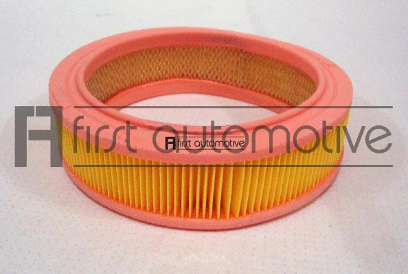 Air Filter (A60618)