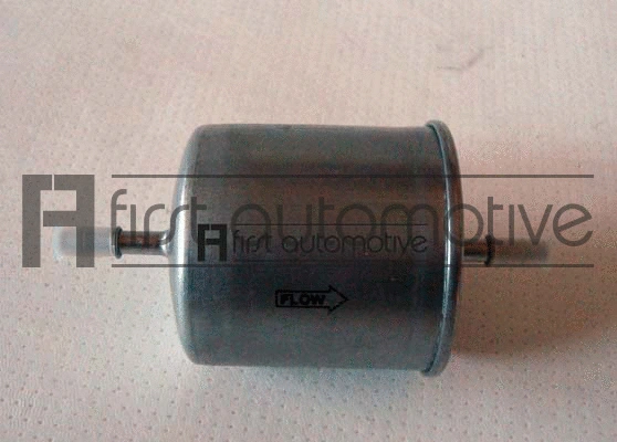 Fuel Filter (P10160)