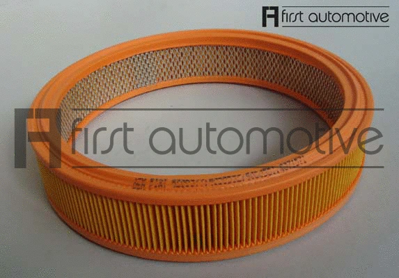 Air Filter (A60028)