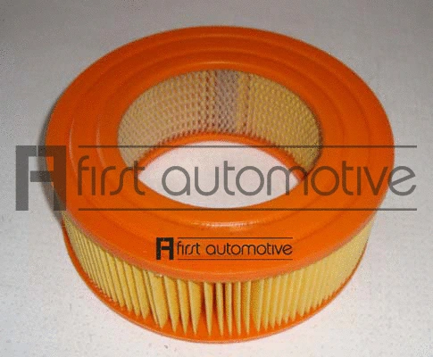Air Filter (A60025)