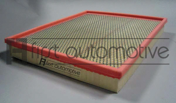 Air Filter (A60171)