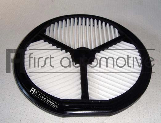 Air Filter (A60101)