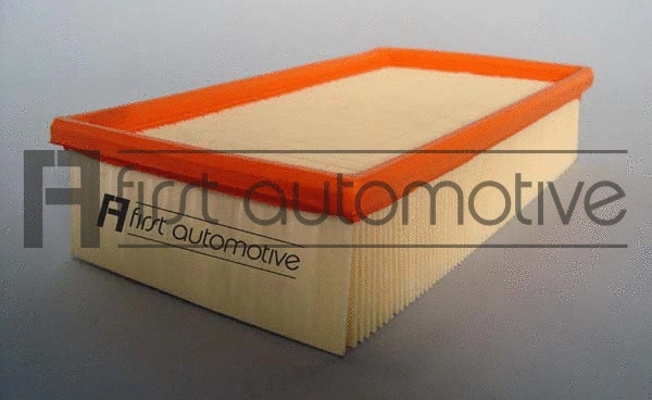 Air Filter (A60301)