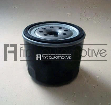 Oil Filter (L40613)