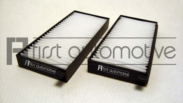 Filter, cabin air (C30379-2)