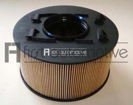 Air Filter (A60882)