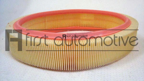 Air Filter (A60365)