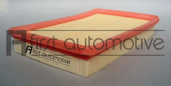 Air Filter (A63179)
