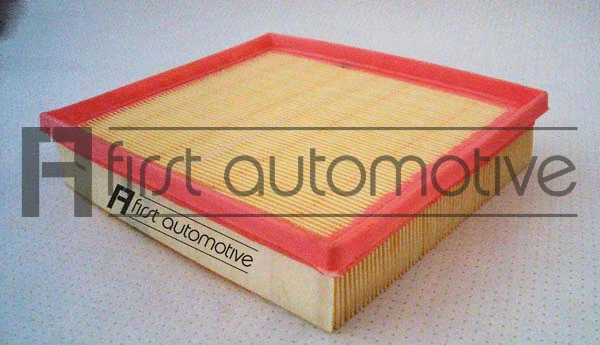 Air Filter (A63100)