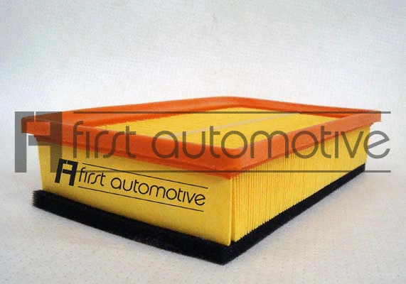 Air Filter (A60801)