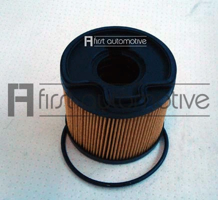 Fuel Filter (D20151)