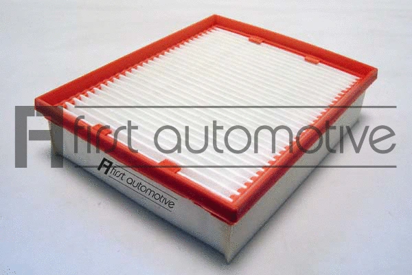 Air Filter (A63509)