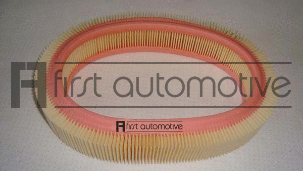 Air Filter (A60228)