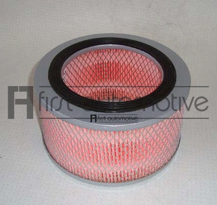 Air Filter (A60165)