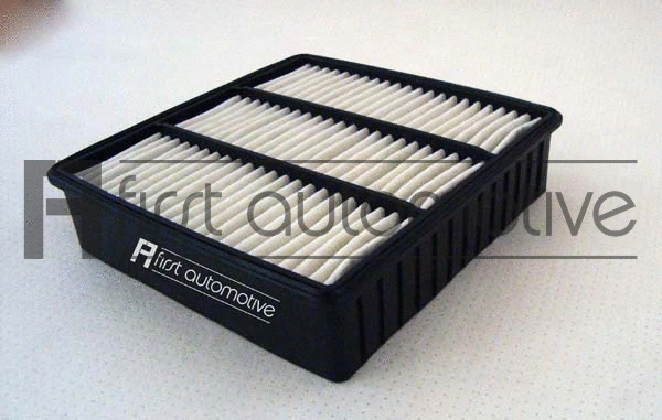 Air Filter (A63117)
