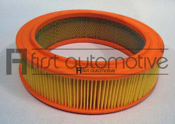 Air Filter (A60645)