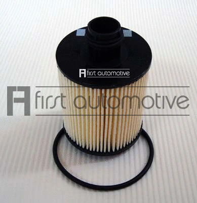 Oil Filter (E50257)