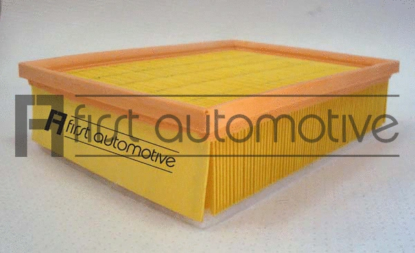 Air Filter (A70324)