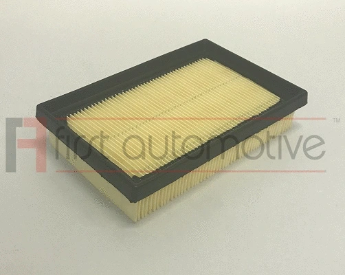 Air Filter (A63680)