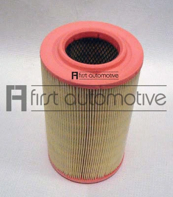 Air Filter (A60503)