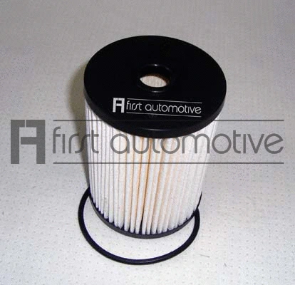 Fuel Filter (D20938)