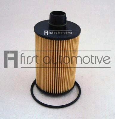 Oil Filter (E50300)