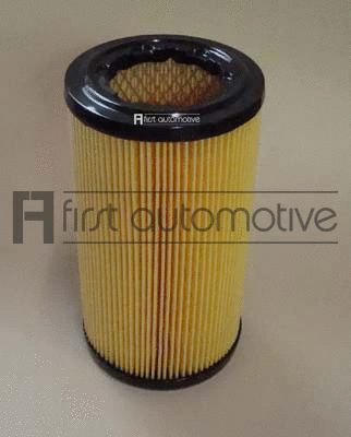Air Filter (A60263)