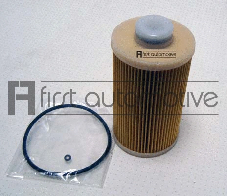 Fuel Filter (D21134)