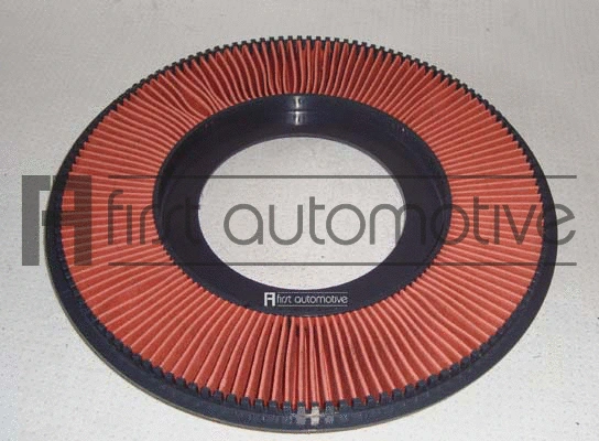 Air Filter (A60124)