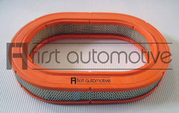 Air Filter (A63441)