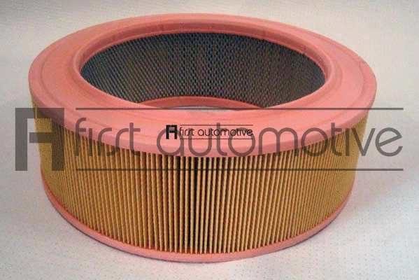 Air Filter (A60445)