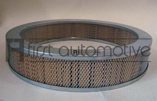 Air Filter (A60434)