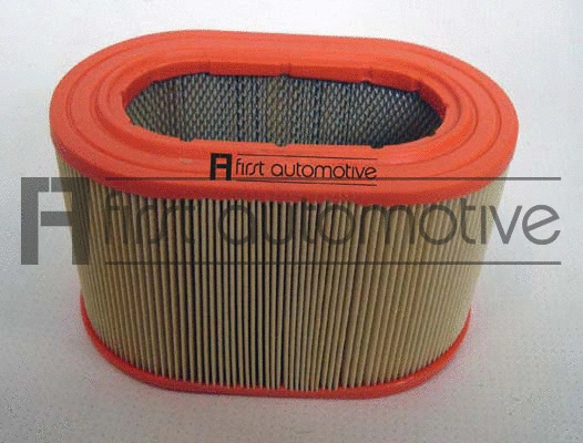 Air Filter (A60899)