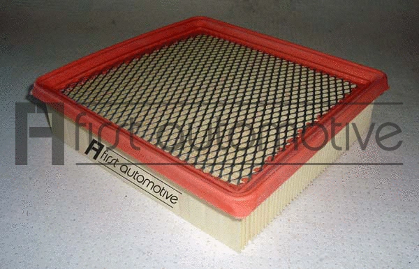 Air Filter (A60267)