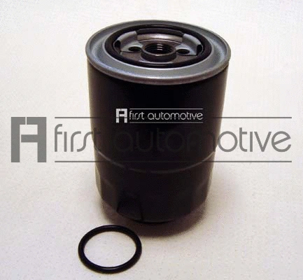 Fuel Filter (D21143)