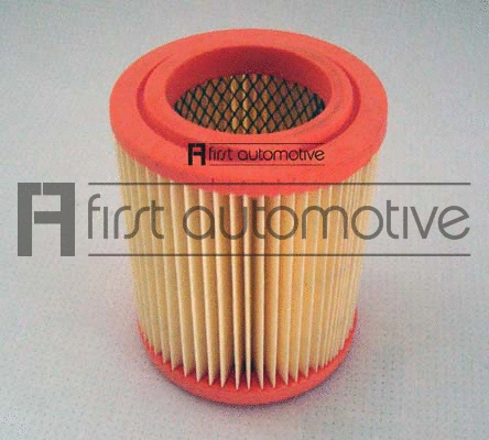 Air Filter (A63167)