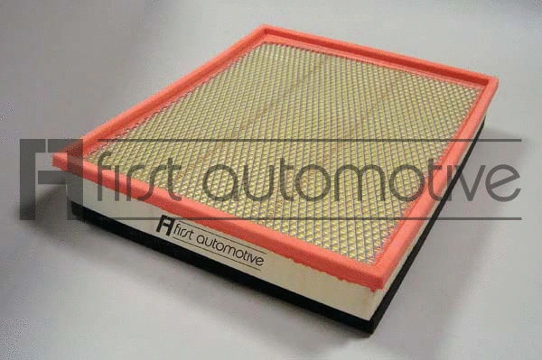 Air Filter (A63171)