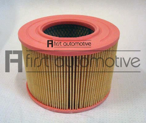 Air Filter (A60375)