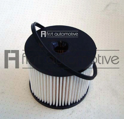 Fuel Filter (D20152)