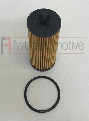 Oil Filter (E50391)