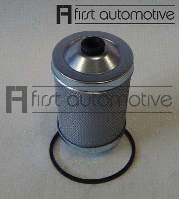 Fuel Filter (D21020)