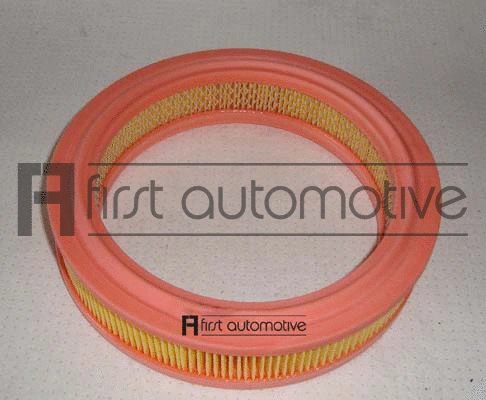Air Filter (A60128)