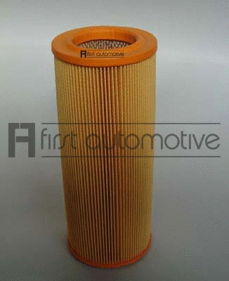 Air Filter (A60310)