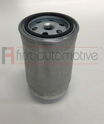 Fuel Filter (D21502)