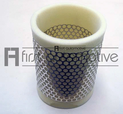 Air Filter (A60870)