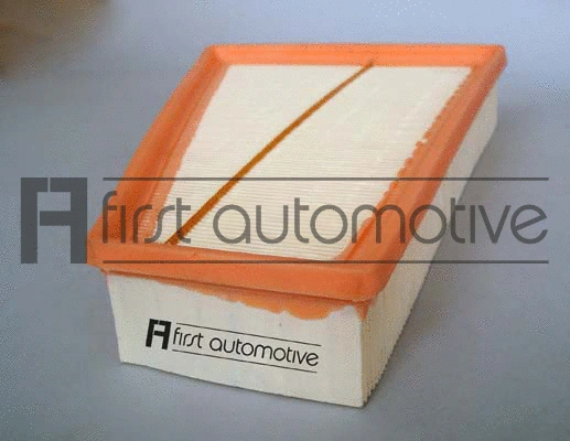 Air Filter (A63366)