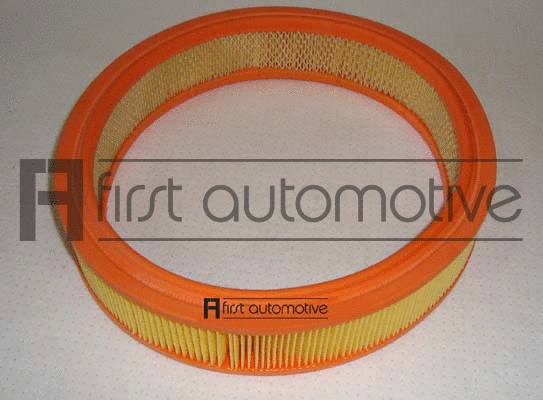Air Filter (A60180)