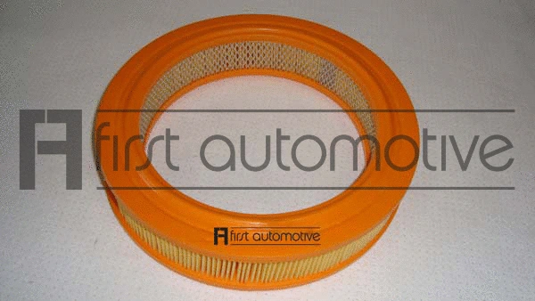 Air Filter (A60024)