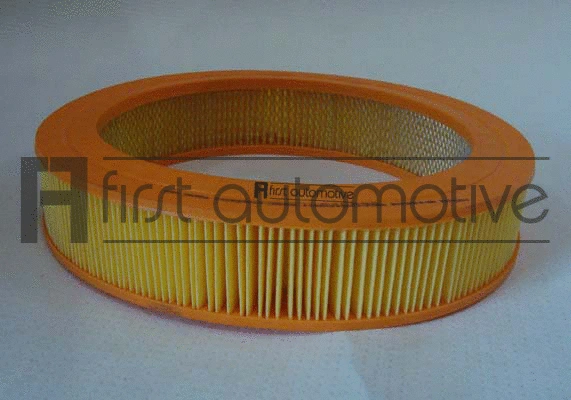 Air Filter (A60044)