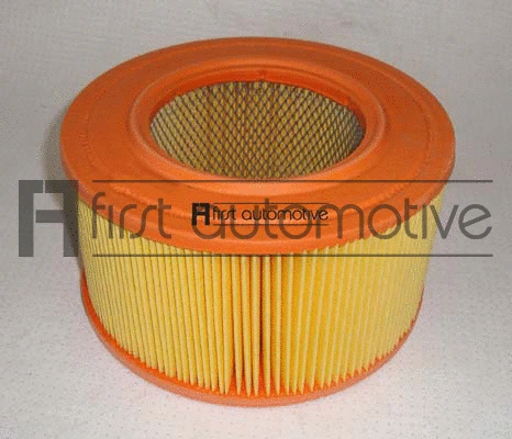 Air Filter (A60170)